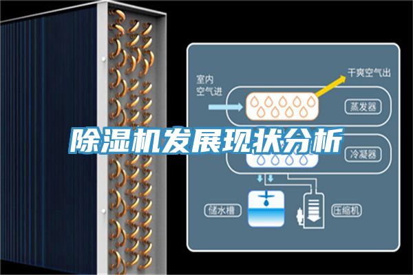 好色先生在线播放發展現狀分析