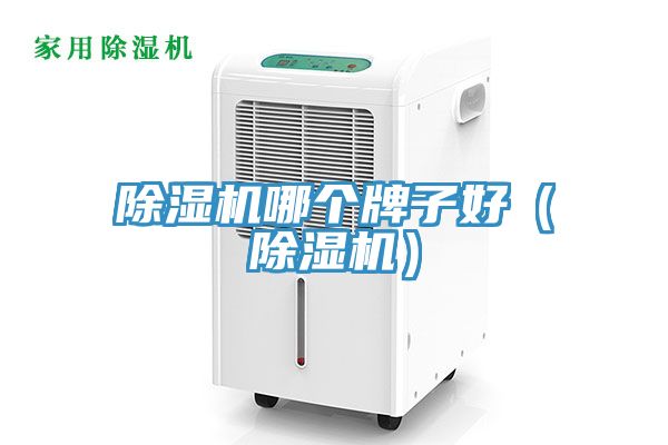 好色先生在线播放哪個牌子好（好色先生在线播放）