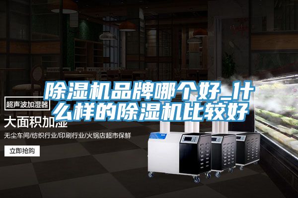 好色先生在线播放品牌哪個好_什麽樣的好色先生在线播放比較好