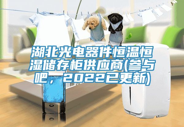 湖北光電器件恒溫恒濕儲存櫃供應商(參與吧，2022已更新)