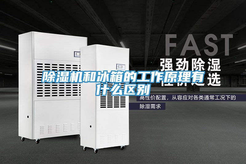 好色先生在线播放和冰箱的工作原理有什麽區別