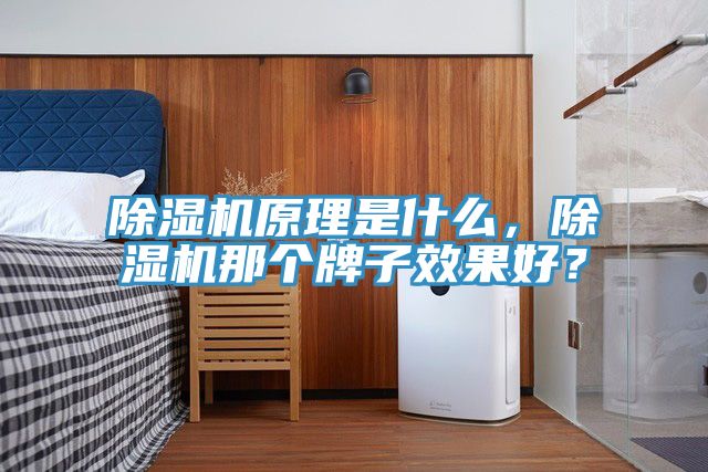 好色先生在线播放原理是什麽，好色先生在线播放那個牌子效果好？