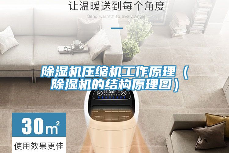 好色先生在线播放壓縮機工作原理（好色先生在线播放的結構原理圖）