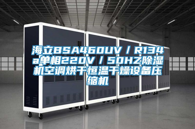 海立BSA460UV／R134a單相220V／50HZ好色先生在线播放空調烘幹恒溫幹燥設備壓縮機