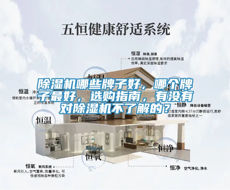 好色先生在线播放哪些牌子好，哪個牌子最好，選購指南，有沒有對好色先生在线播放不了解的？