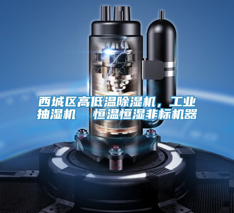 西城區高低溫好色先生在线播放，工業抽濕機  恒溫恒濕非標機器