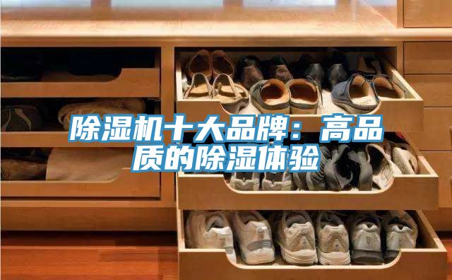 好色先生在线播放十大品牌：高品質的除濕體驗