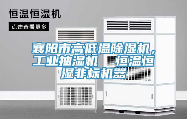 襄陽市高低溫好色先生在线播放，工業抽濕機  恒溫恒濕非標機器