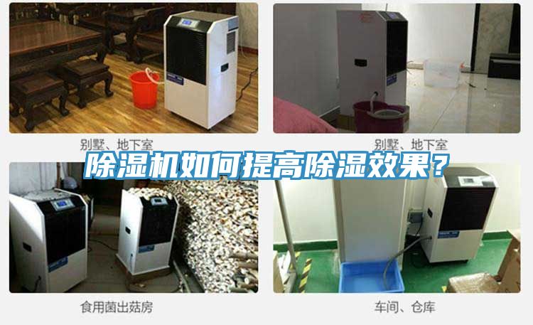 好色先生在线播放如何提高除濕效果？