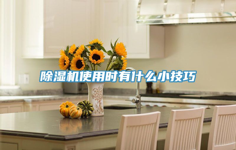 好色先生在线播放使用時有什麽小技巧