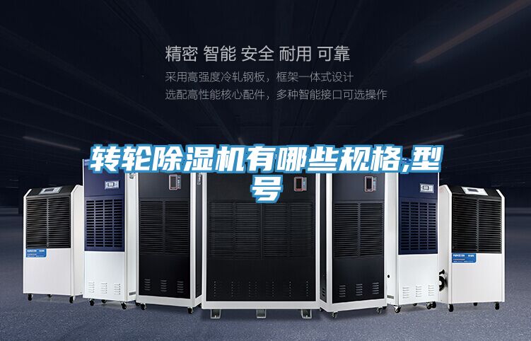 轉輪好色先生在线播放有哪些規格,型號