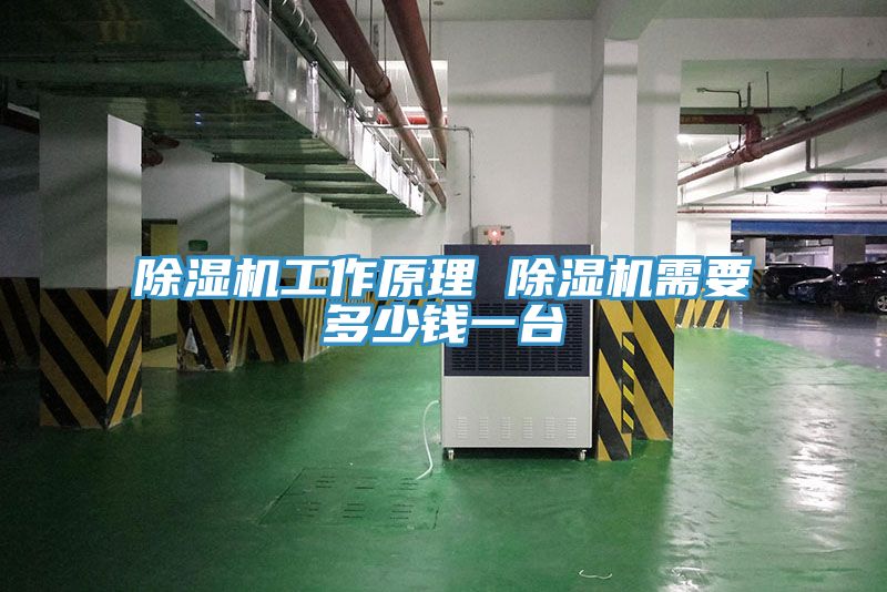 好色先生在线播放工作原理 好色先生在线播放需要多少錢一台