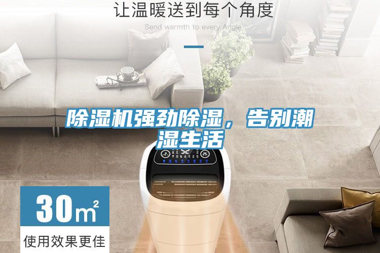 好色先生在线播放強勁除濕，告別潮濕生活