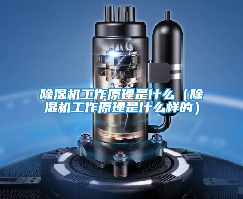 好色先生在线播放工作原理是什麽（好色先生在线播放工作原理是什麽樣的）