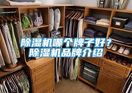 好色先生在线播放哪個牌子好？好色先生在线播放品牌介紹