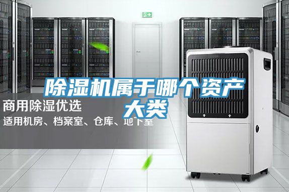 好色先生在线播放屬於哪個資產大類