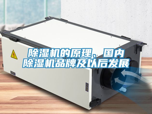 好色先生在线播放的原理、國內好色先生在线播放品牌及以後發展