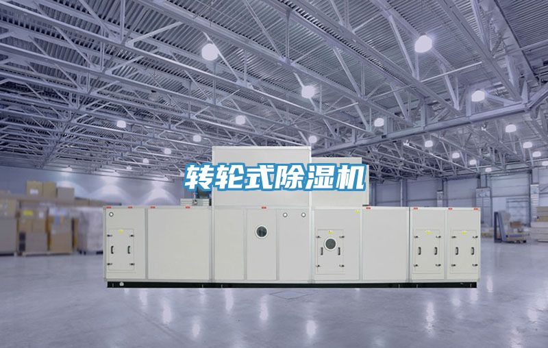 轉輪式好色先生在线播放