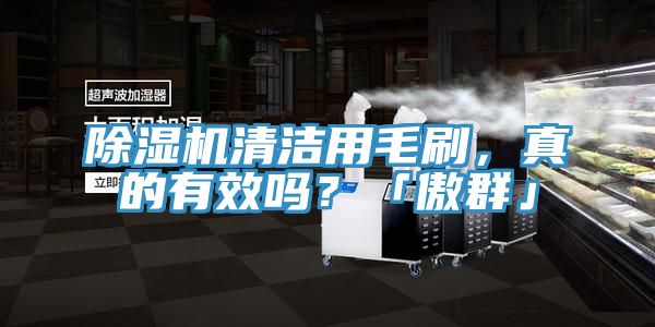 好色先生在线播放清潔用毛刷，真的有效嗎？「傲群」