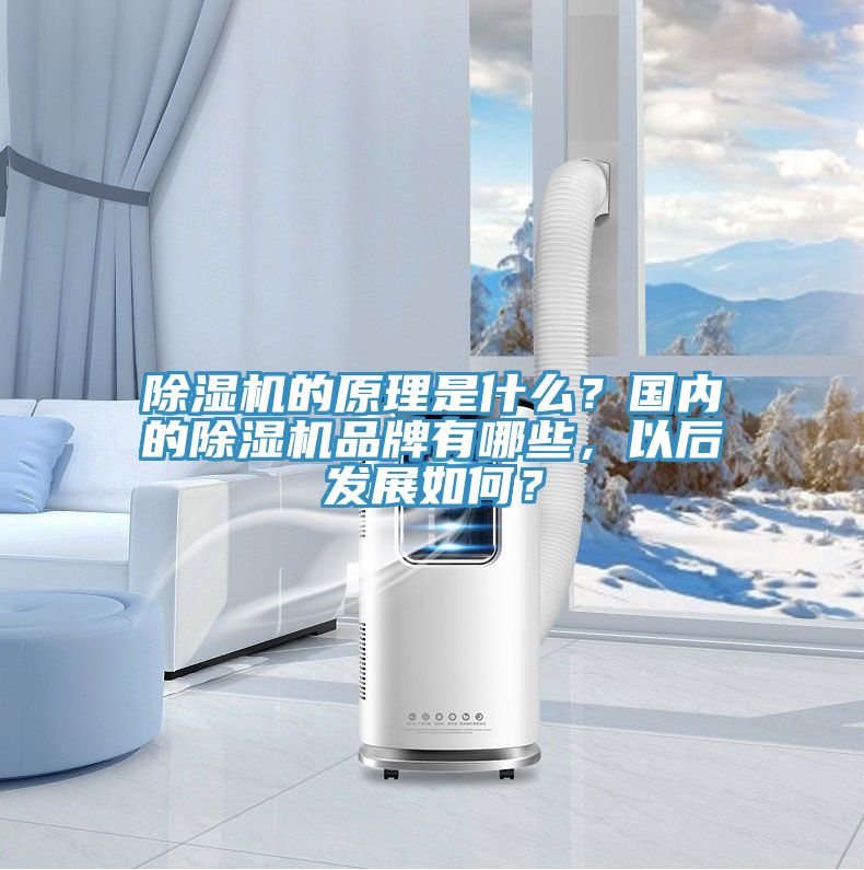 好色先生在线播放的原理是什麽？國內的好色先生在线播放品牌有哪些，以後發展如何？