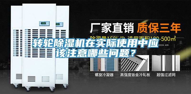 轉輪好色先生在线播放在實際使用中應該注意哪些問題？