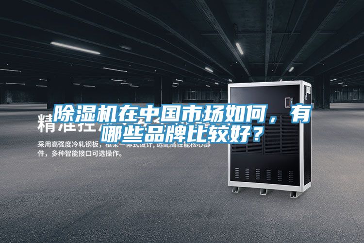 好色先生在线播放在中國市場如何，有哪些品牌比較好？