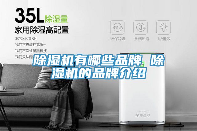 好色先生在线播放有哪些品牌 好色先生在线播放的品牌介紹