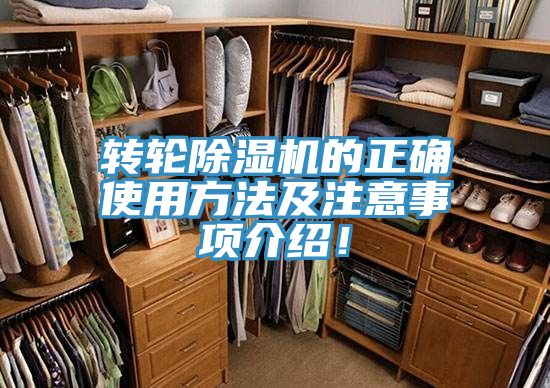 轉輪好色先生在线播放的正確使用方法及注意事項介紹！