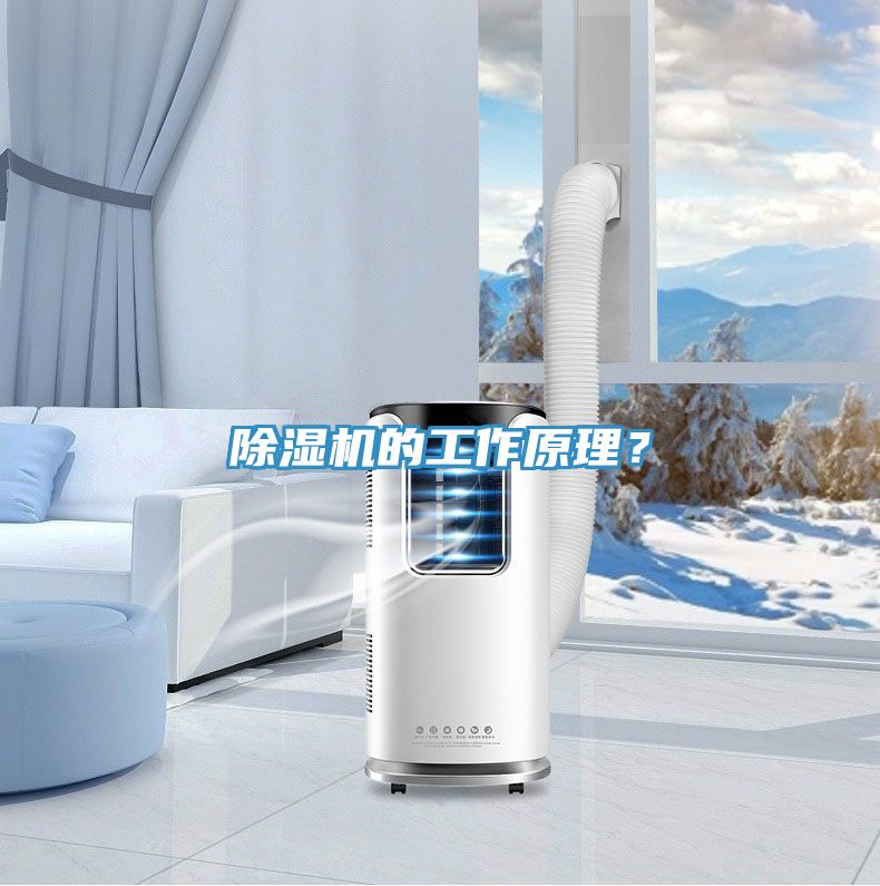 好色先生在线播放的工作原理？