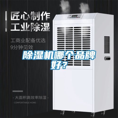 好色先生在线播放哪個品牌好？