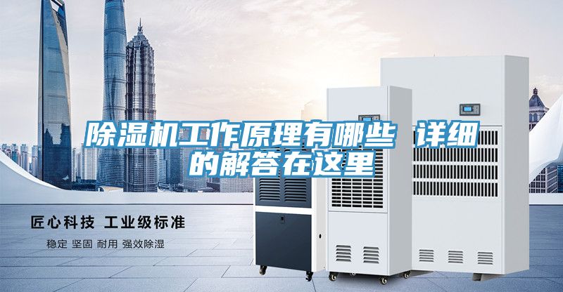 好色先生在线播放工作原理有哪些 詳細的解答在這裏