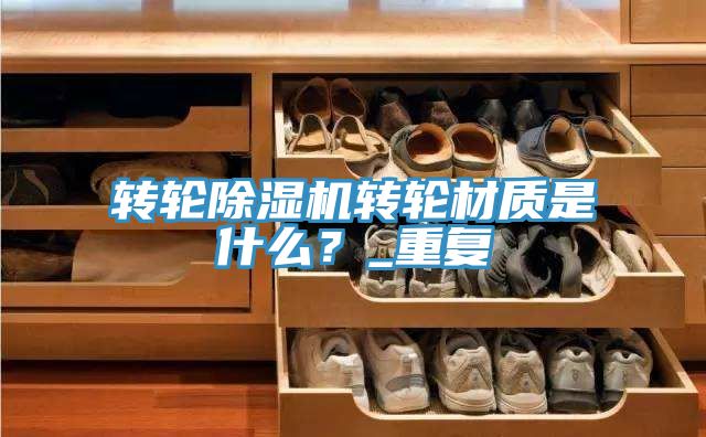 轉輪好色先生在线播放轉輪材質是什麽？_重複