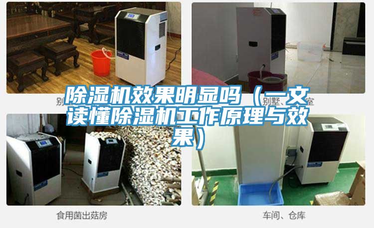 好色先生在线播放效果明顯嗎（一文讀懂好色先生在线播放工作原理與效果）