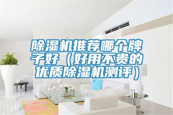 好色先生在线播放推薦哪個牌子好（好用不貴的優質好色先生在线播放測評）