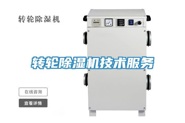 轉輪好色先生在线播放技術服務