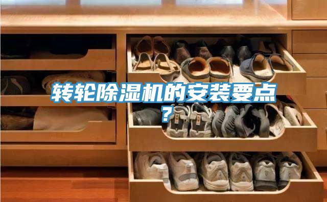 轉輪好色先生在线播放的安裝要點？