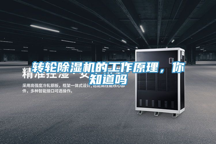 轉輪好色先生在线播放的工作原理，你知道嗎