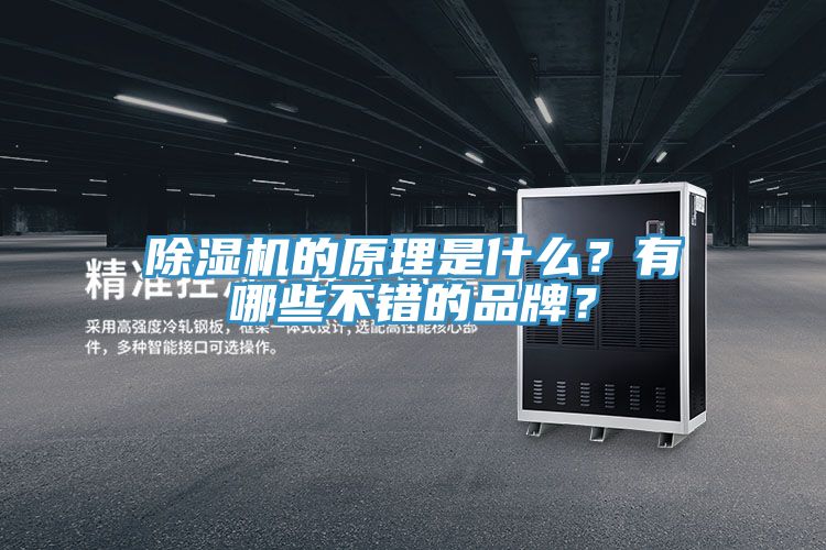 好色先生在线播放的原理是什麽？有哪些不錯的品牌？