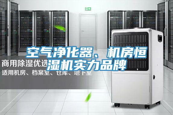 空氣淨化器、機房恒濕機實力品牌