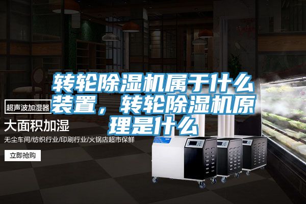 轉輪好色先生在线播放屬於什麽裝置，轉輪好色先生在线播放原理是什麽