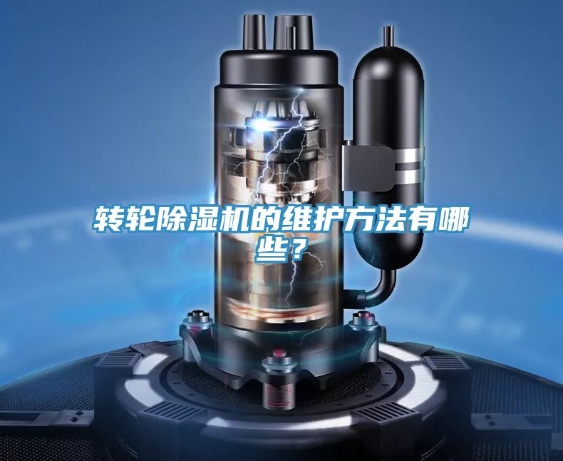 轉輪好色先生在线播放的維護方法有哪些？