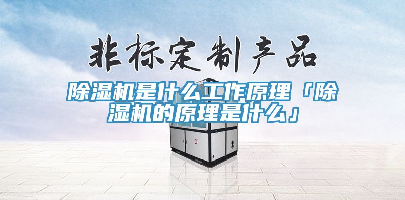 好色先生在线播放是什麽工作原理「好色先生在线播放的原理是什麽」