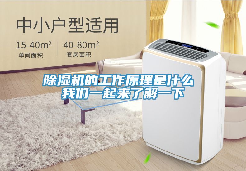 好色先生在线播放的工作原理是什麽 好色先生TVAPP一起來了解一下