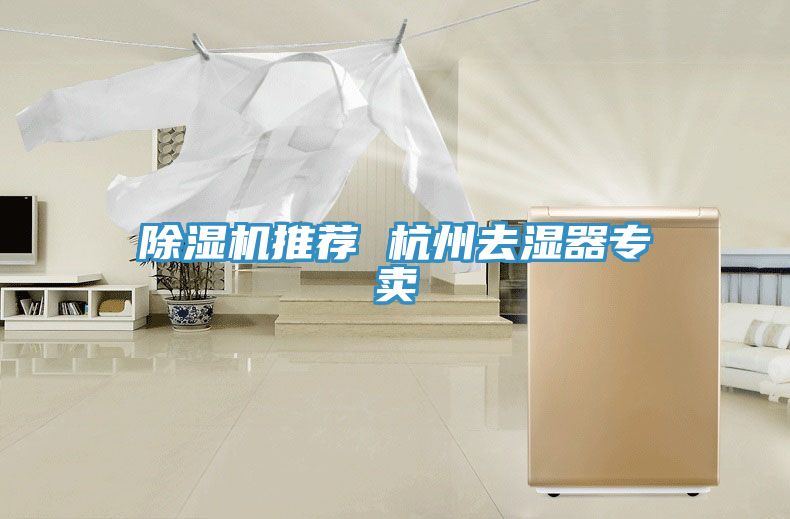 好色先生在线播放推薦 杭州去濕器專賣