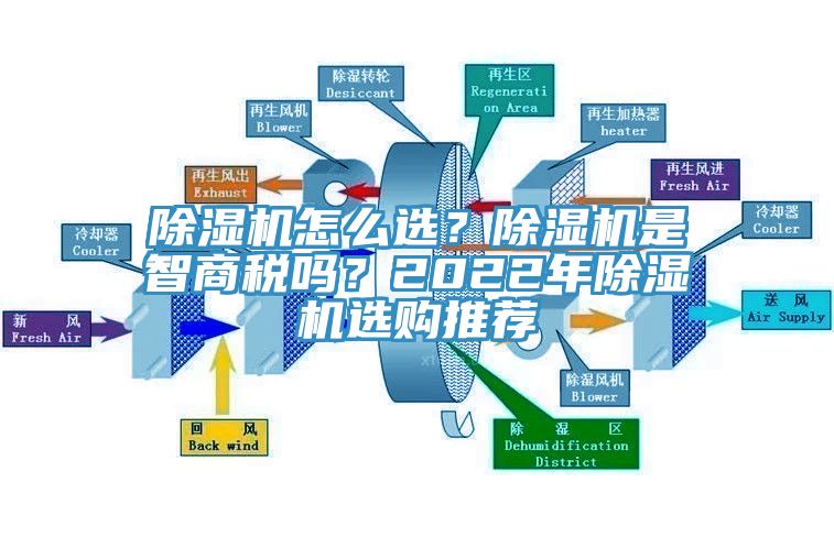 好色先生在线播放怎麽選？好色先生在线播放是智商稅嗎？2022年好色先生在线播放選購推薦