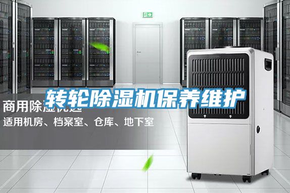 轉輪好色先生在线播放保養維護