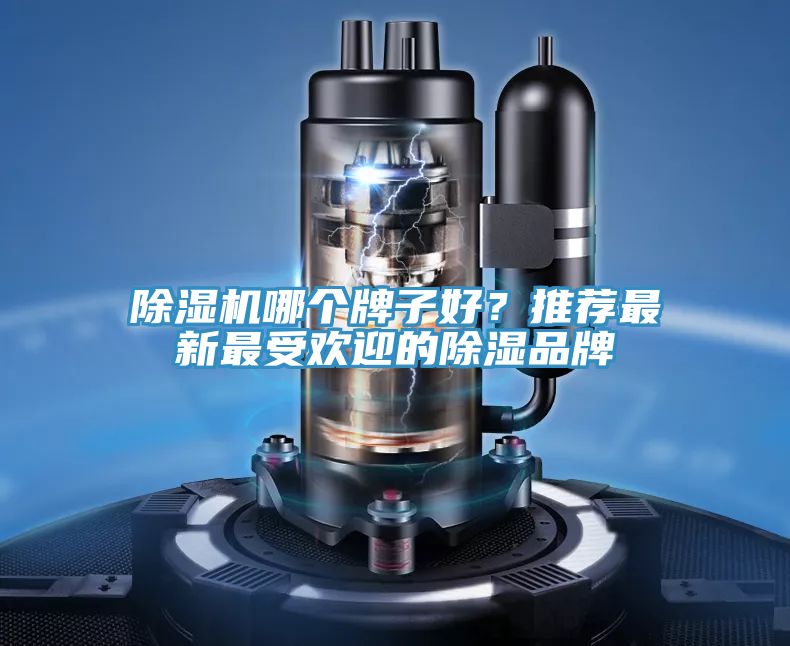 好色先生在线播放哪個牌子好？推薦最新最受歡迎的除濕品牌