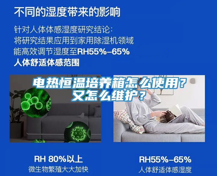電熱恒溫培養箱怎麽使用？又怎麽維護？