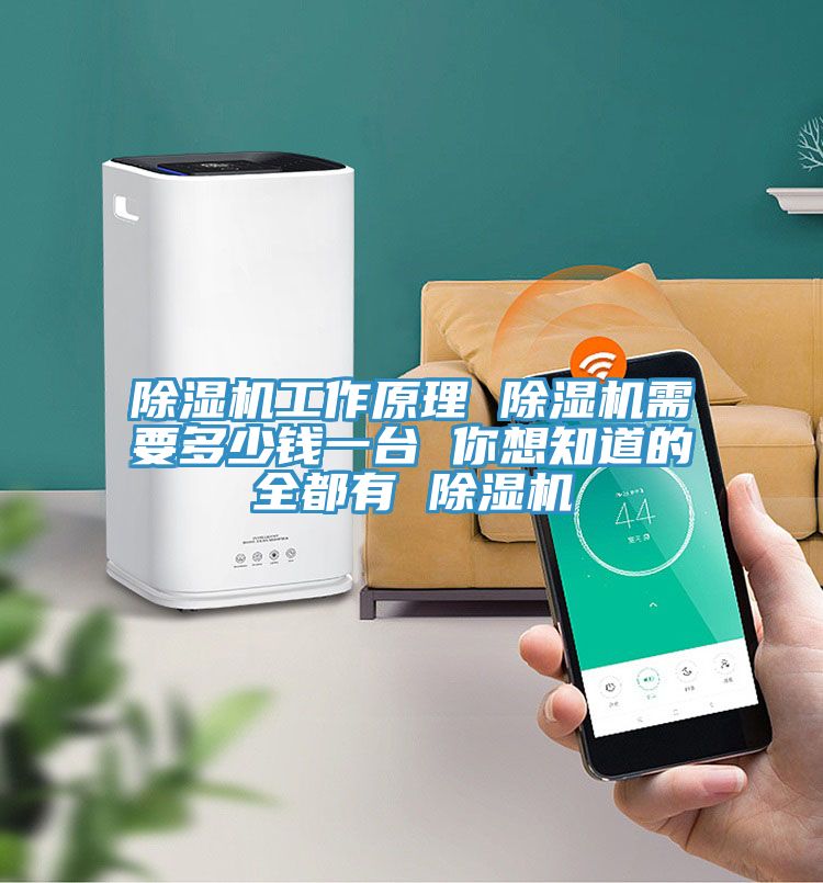 好色先生在线播放工作原理 好色先生在线播放需要多少錢一台 你想知道的全都有 好色先生在线播放