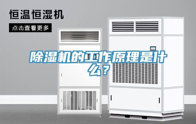 好色先生在线播放的工作原理是什麽？